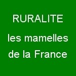 Avatar du groupe