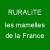 Avatar du groupe